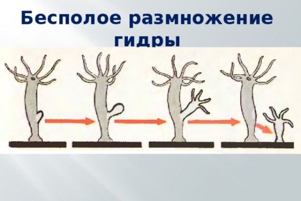 Кракен тор store