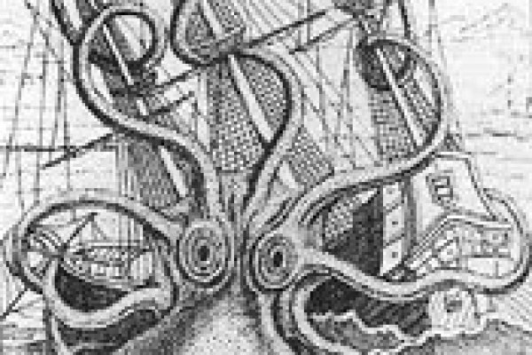 Kraken 20at net