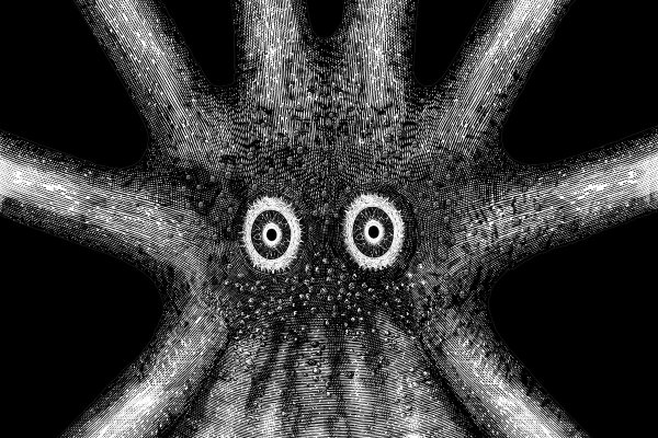 Kraken istand onion