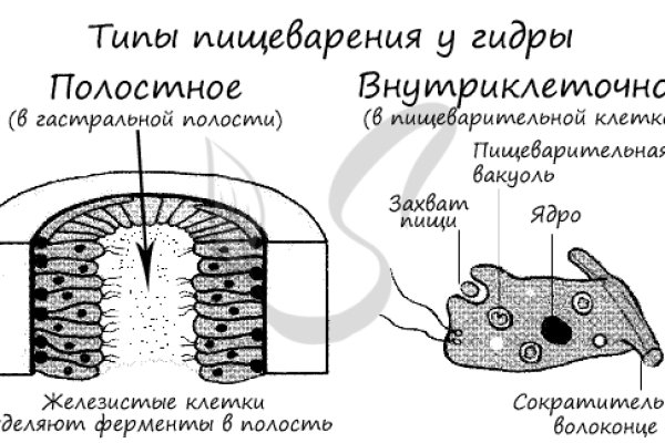 Пользователь не найден кракен