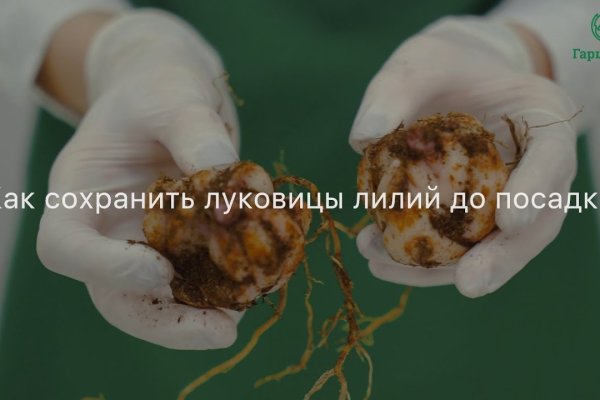 Ссылка на кракен свежая