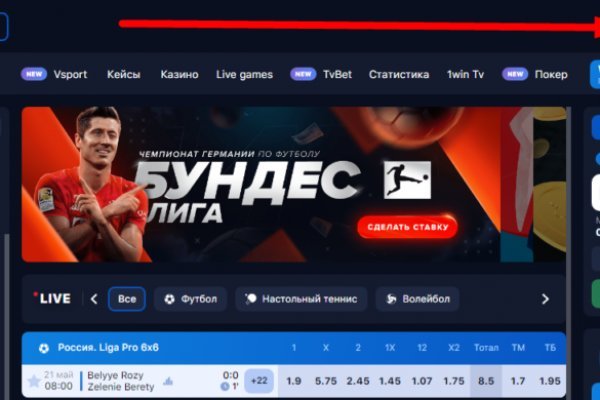 Kraken online