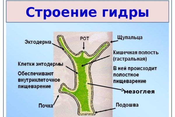 Как перейти на кракен