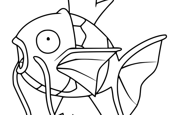 Kraken 18at