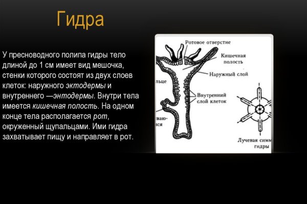 Kraken dark net