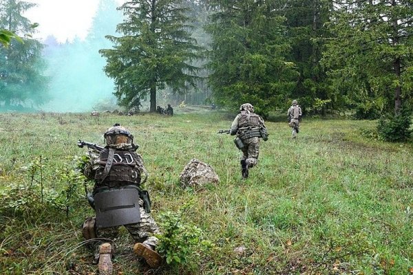 Рабочая ссылка кракен в тор