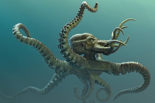 Kraken 13at сайт
