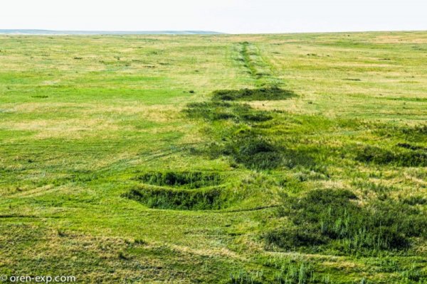 Что такое кракен шоп