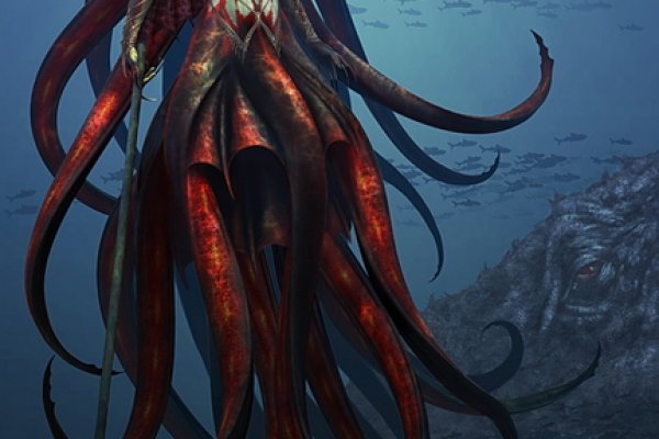 Kraken tor link