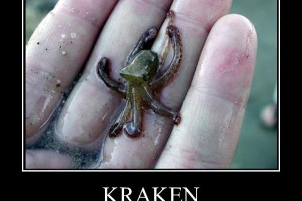 Кракен ссылка kraken dark link