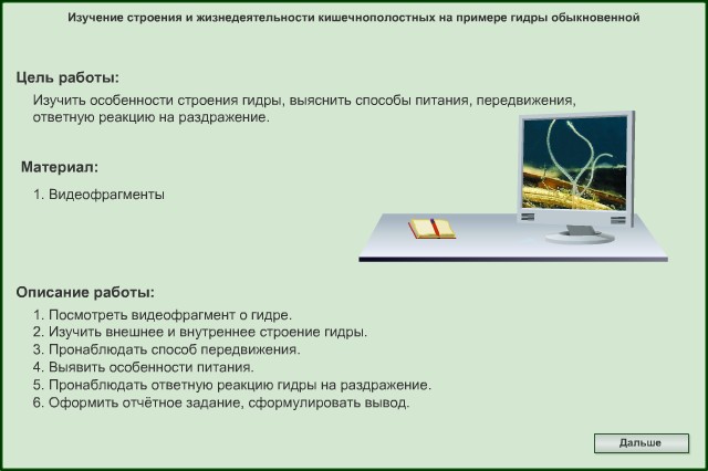 Гидра в даркнете